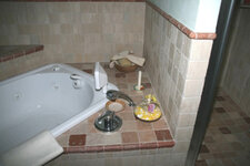 ib_p003_0_31.jpg